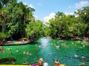 guests swimming at Wekiwa springs during swim picnic on original orlando tours