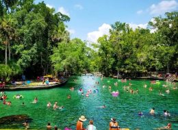 guests swimming at Wekiwa springs during swim picnic on original orlando tours