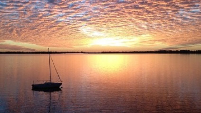 Guided Boat Tour Mount Dora