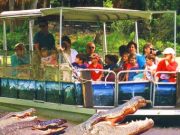our guests go outside the tourist zone to see wild gators on the green river boat tour at Jungle adventures during an original orlando tours visit to historic christmas florida