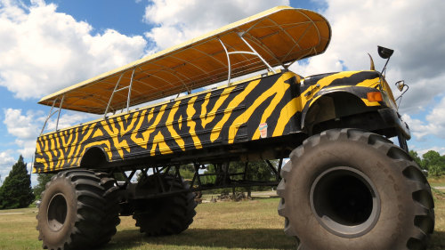 monster truck ride at u-pick citrus farm while on original orlando tours