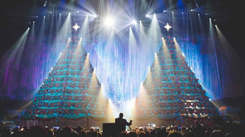 guests enjoy their favorite christmas carols and more at the singing trees concert during an original orlando tours christmas tradition