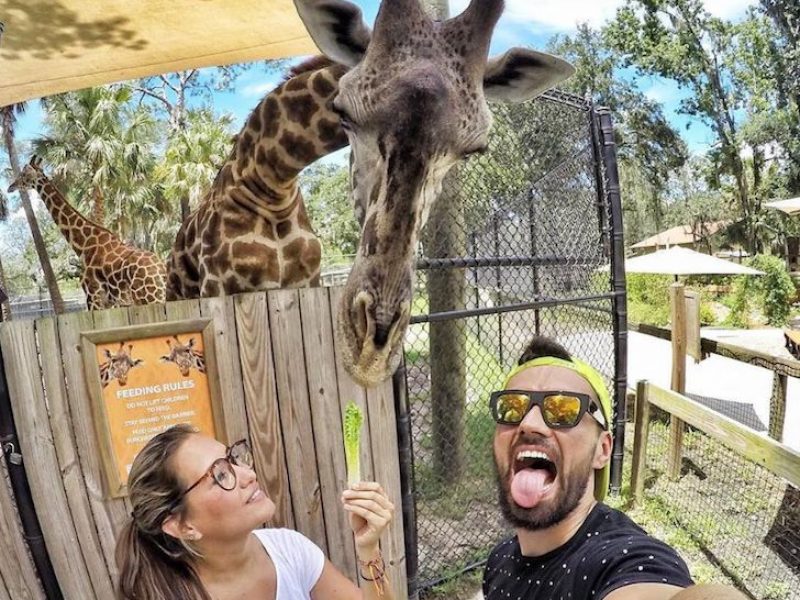 Central Florida Zoo and Historic Sanford Lunch - Original Orlando Tours