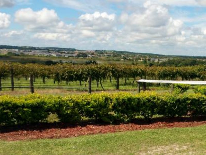 wine tours orlando florida