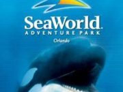 seaworld orlando logo with shamu custom tour