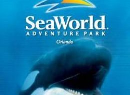 seaworld orlando logo with shamu custom tour