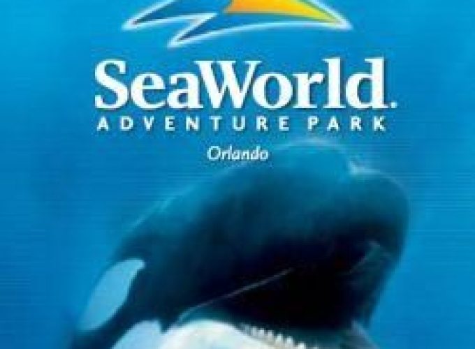 Original Orlando Tours - Tour Like A Local