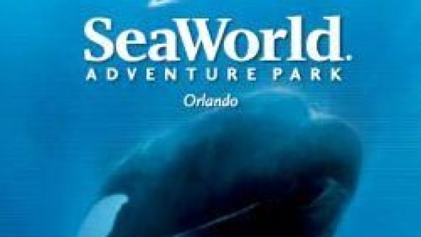 seaworld orlando logo with shamu custom tour