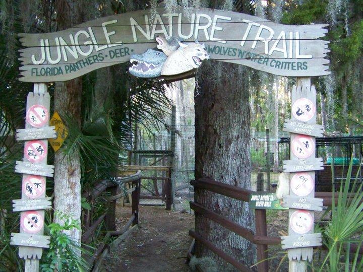 a walk along a wild, natural florida nature trail is includedat Jungle adventures during an original orlando tours visit to historic christmas florida