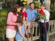 a family enjoys meeting a parrot at the Central Florida Zoo during an original orlando tours prior to a visit to historic sanford florida for lunch