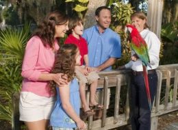a family enjoys meeting a parrot at the Central Florida Zoo during an original orlando tours prior to a visit to historic sanford florida for lunch
