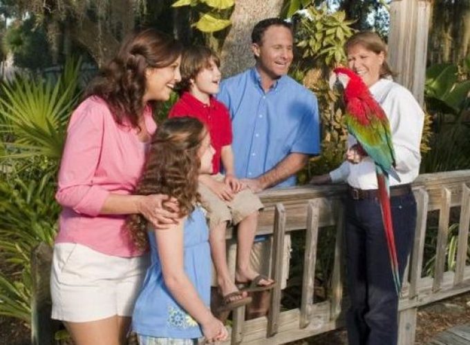 Original Orlando Tours - Tour Like A Local