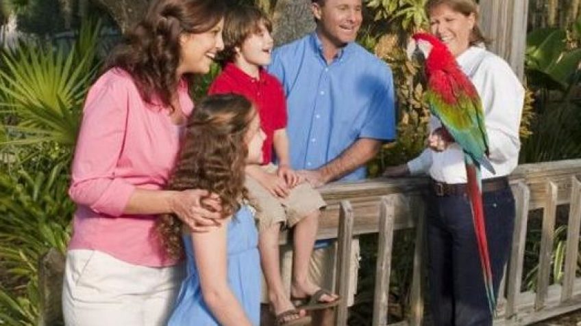 a family enjoys meeting a parrot at the Central Florida Zoo during an original orlando tours prior to a visit to historic sanford florida for lunch