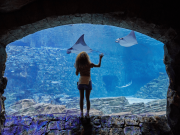 Original Orlando Tours - Tour Like A Local