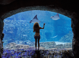 Original Orlando Tours - Tour Like A Local