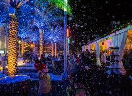 the beauty of christmas fun comes alive as snow falls during an original orlando tours visit to light up ucf