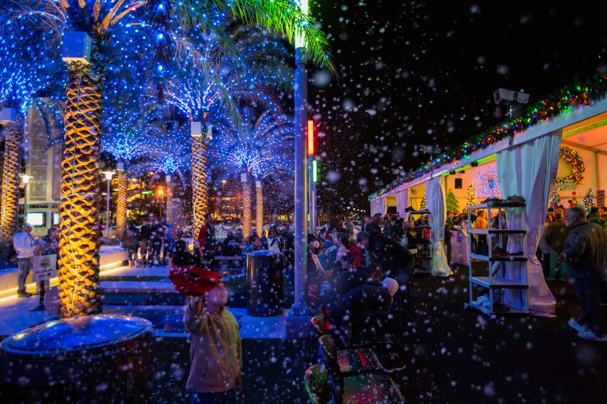 Light Up UCF Christmas Season Fun! Original Orlando Tours