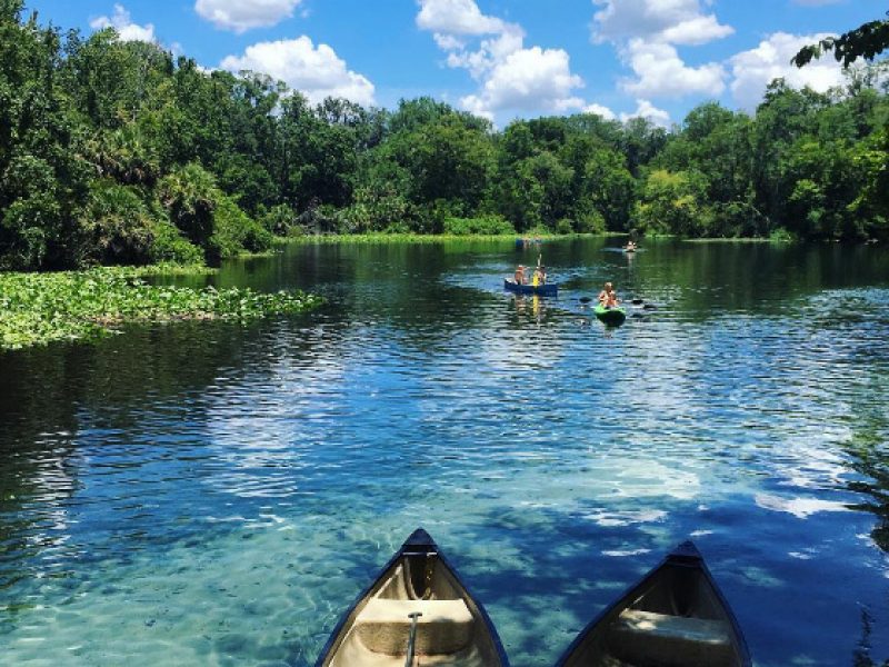 Wekiwa Springs State Park has refreshing water, lots to do