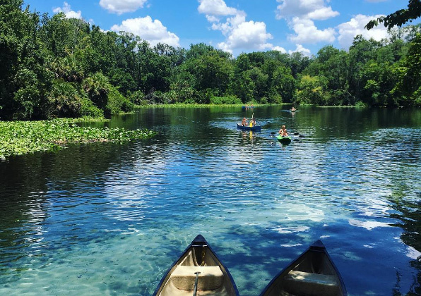 guests kayaking at Wekiwa springs during swim picnic on original orlando tours