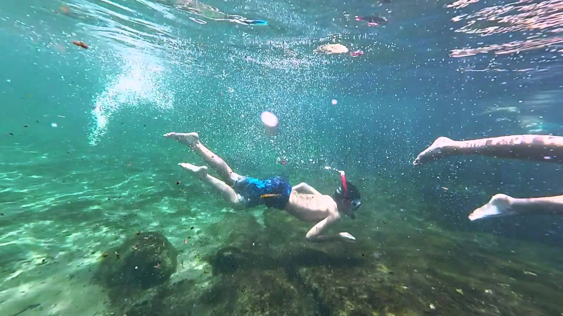guests snorkeling at Wekiwa springs during swim picnic on original orlando tours