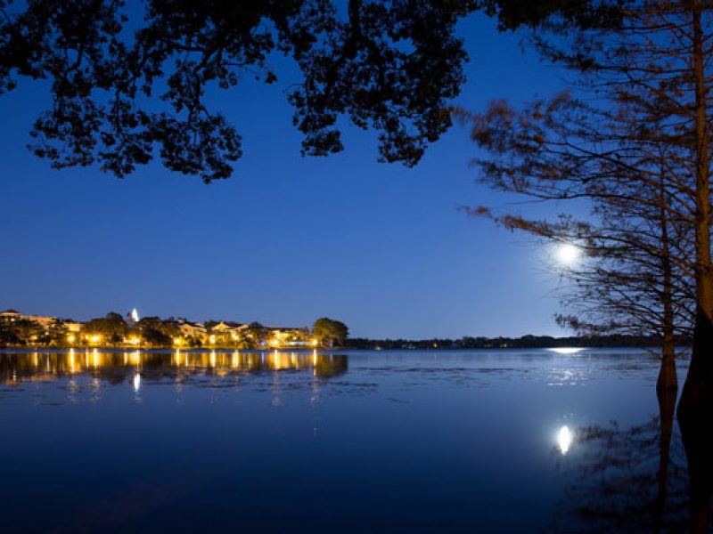 Ghosts of Winter Park - Image 5