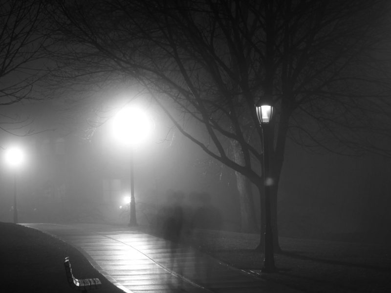 Ghosts of Winter Park - Image 8