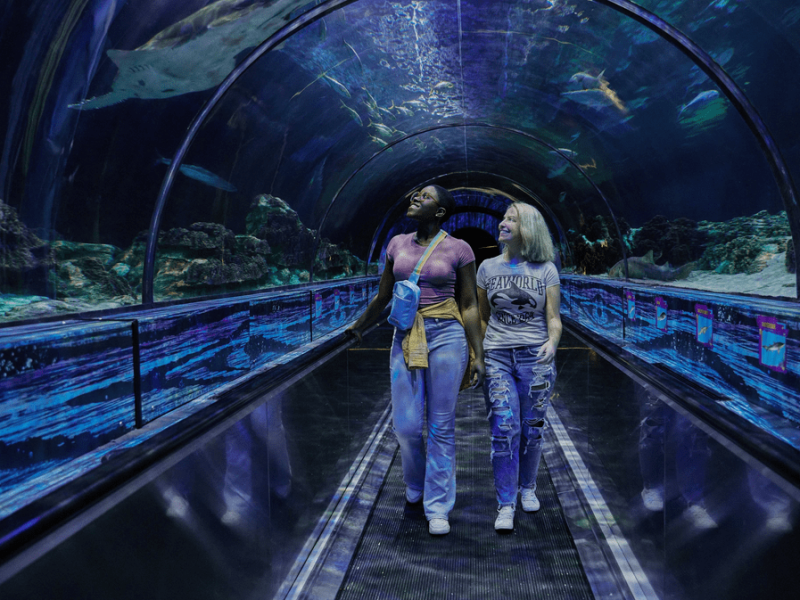 VIP Private Guide: SeaWorld Orlando Custom Tour - Image 6