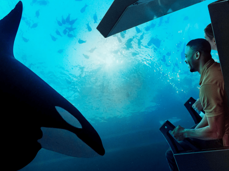 VIP Private Guide: SeaWorld Orlando Custom Tour - Image 5