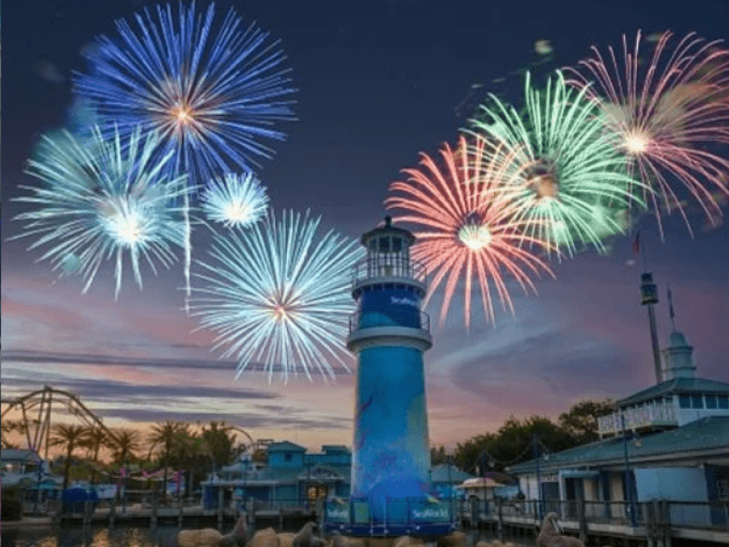 VIP Private Guide: SeaWorld Orlando Custom Tour - Image 4